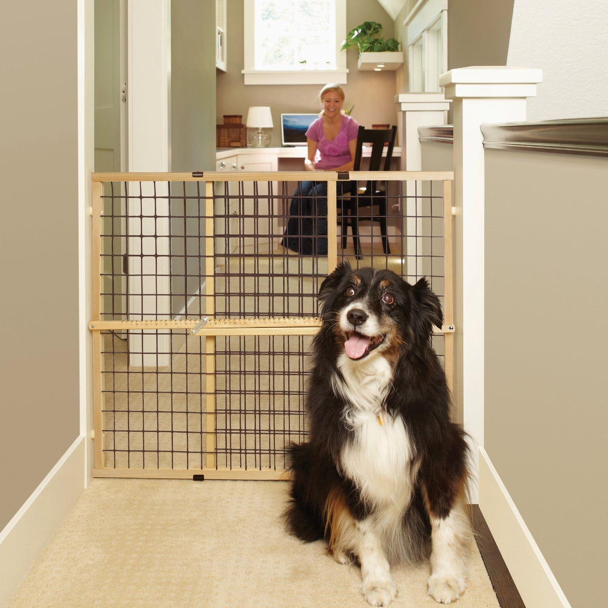 MyPet Extra-Wide Brown Wire Mesh Pet Gate MyPet Extra-Wide Brown Wire Mesh Pet Gate