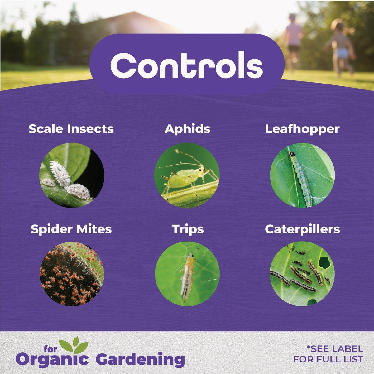 Bonide 16 Oz. Concentrate All Seasons Horticultural & Dormant Spray Oil - photo 3