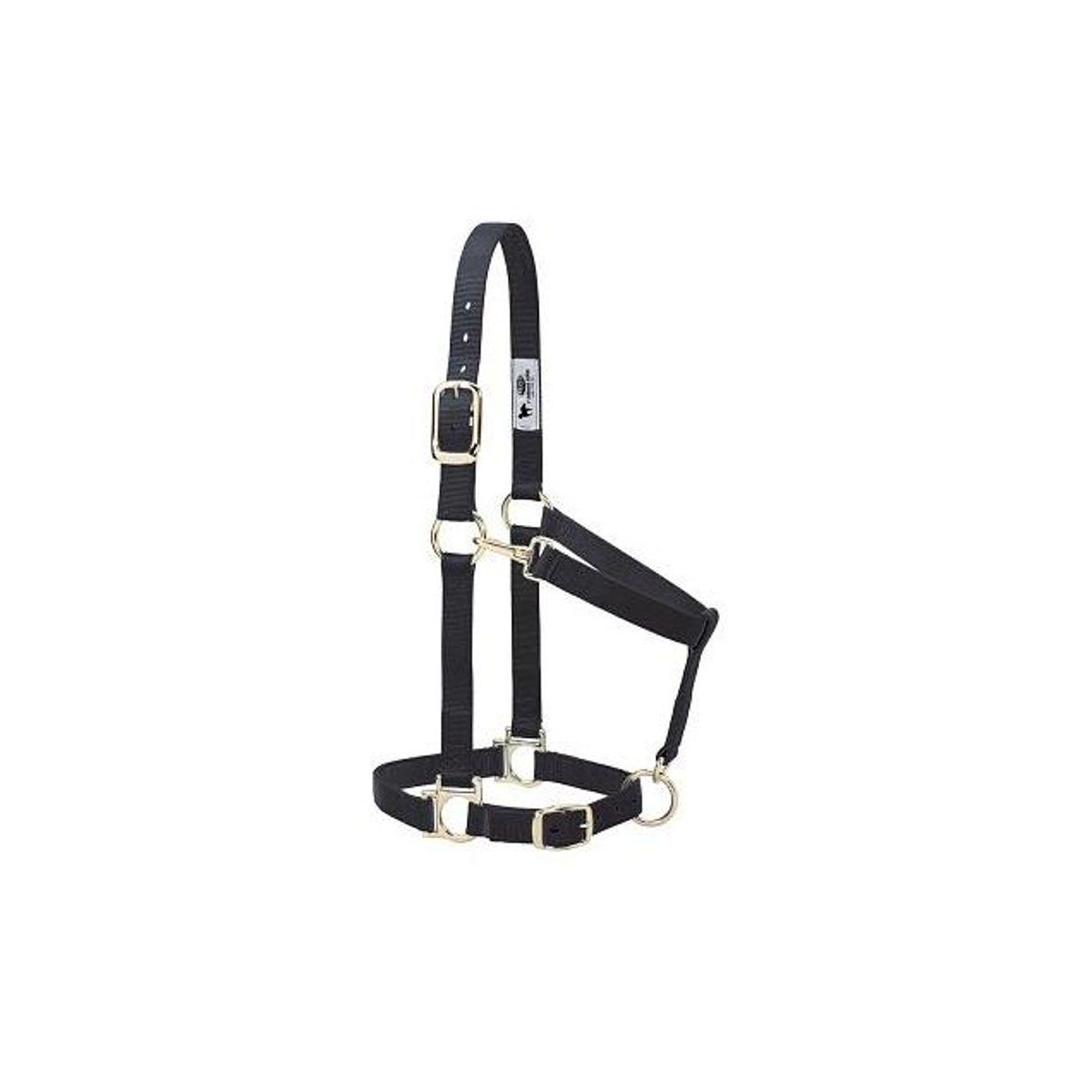 Weaver Leather 1 In. Adjustable Black Nylon Halter, Small