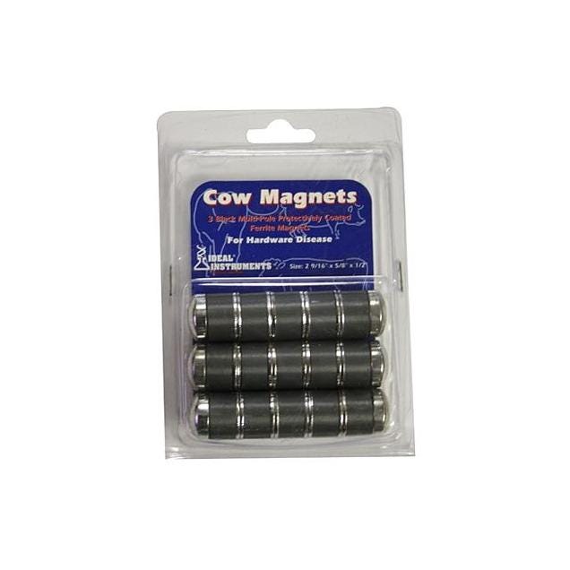 Neogen 3/4 In. x 2-3/4 In. Cow Magnets (3-Pack)
