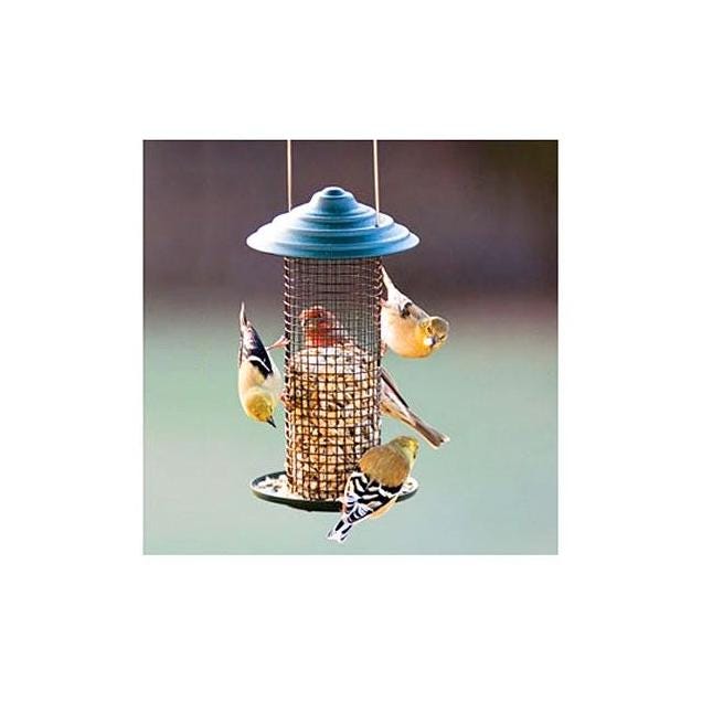 Audubon 3/4 Lb. Black Oil Sunflower Magnum Feeder Audubon 3/4 Lb. Black Oil Sunflower Magnum Feeder