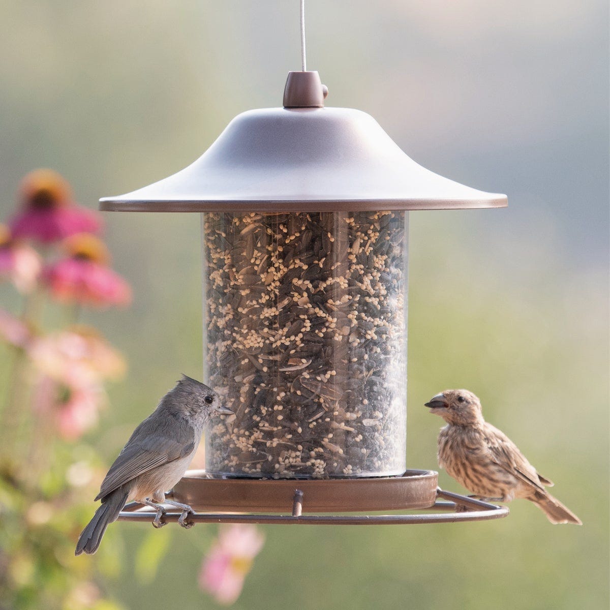 Perky Pet 9.25 In. Panorama Bird Feeder - photo 2 Perky Pet 9.25 In. Panorama Bird Feeder - photo 2
