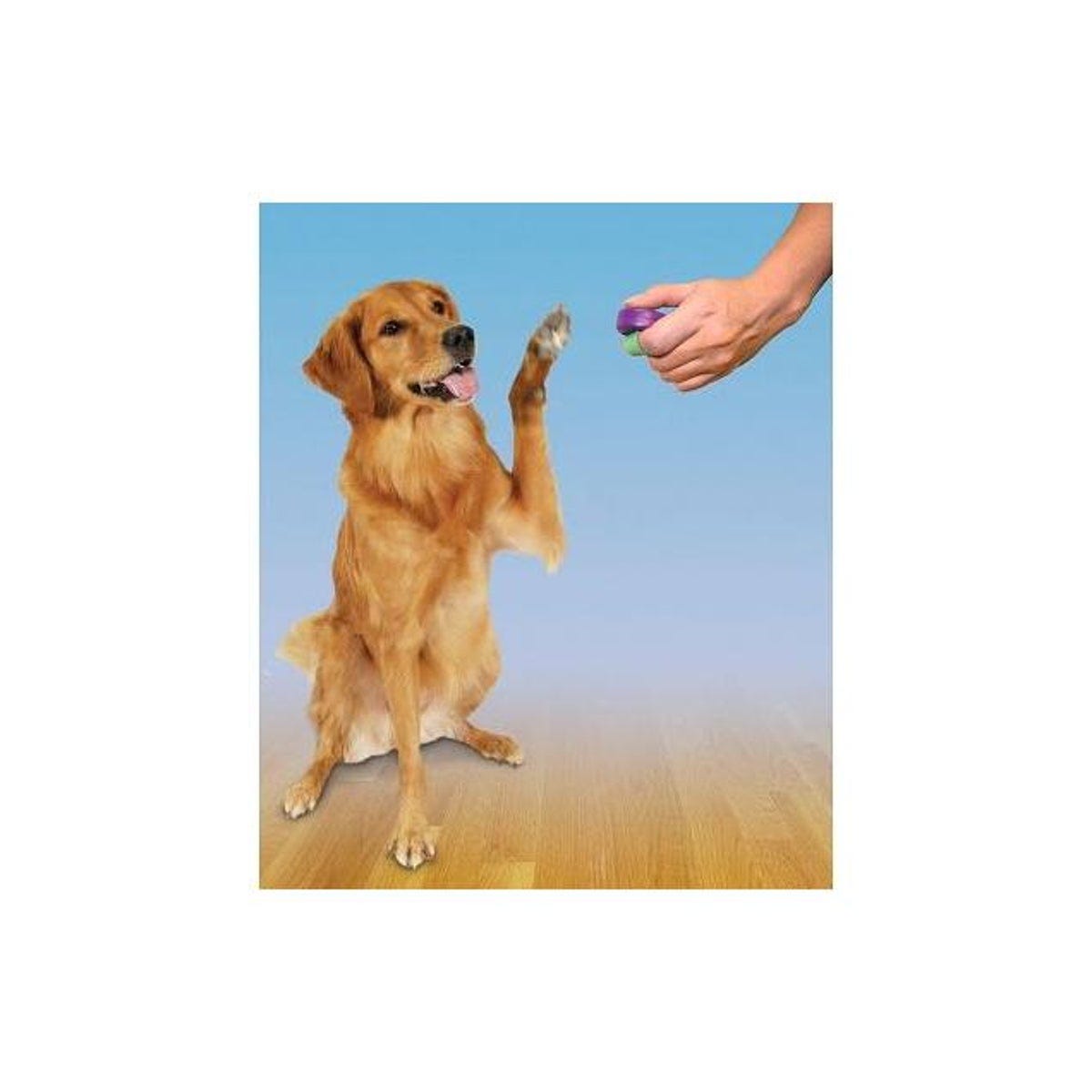 PetSafe Clik-R Trainer - photo 2
