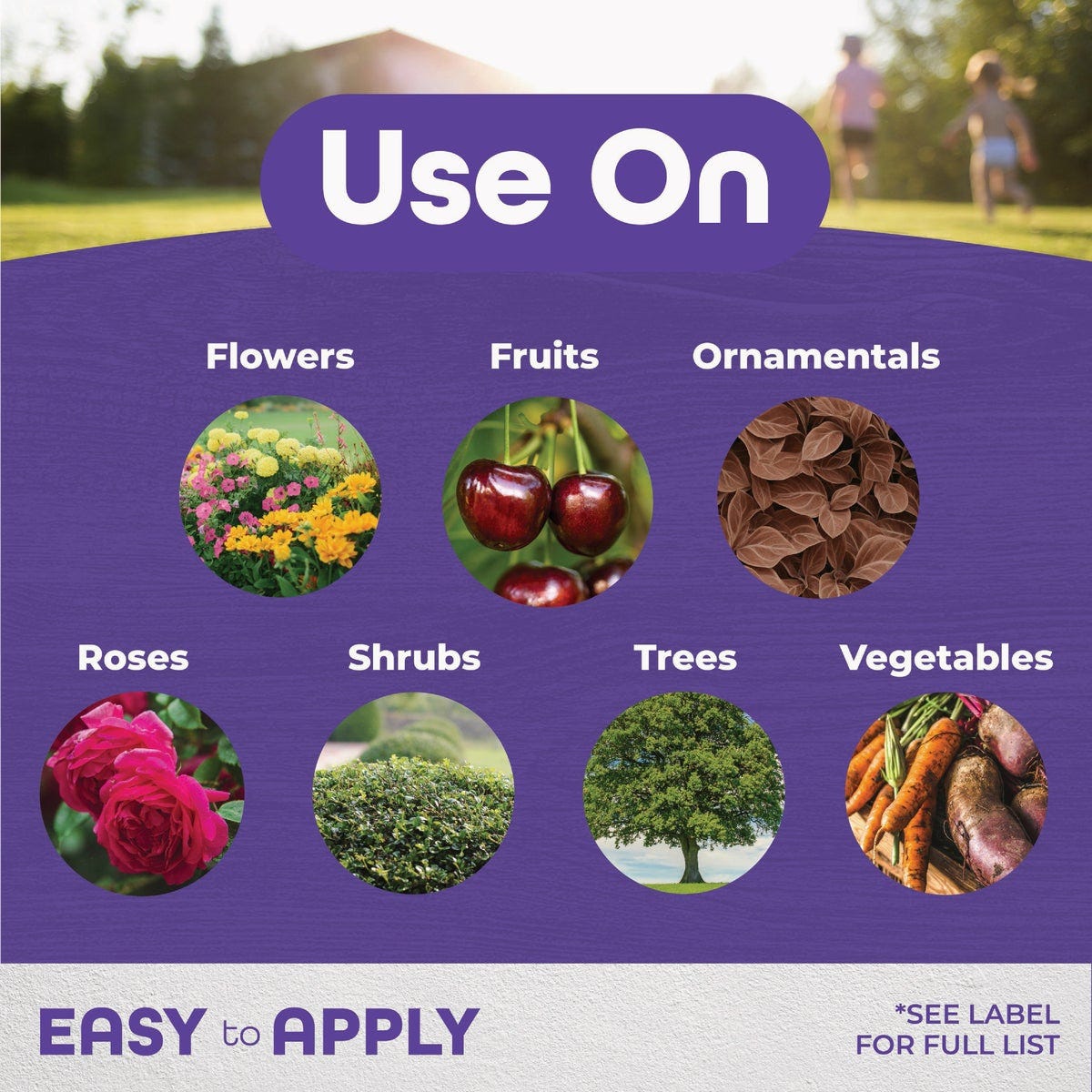 Bonide 16 Oz. Concentrate All Seasons Horticultural & Dormant Spray Oil - photo 2