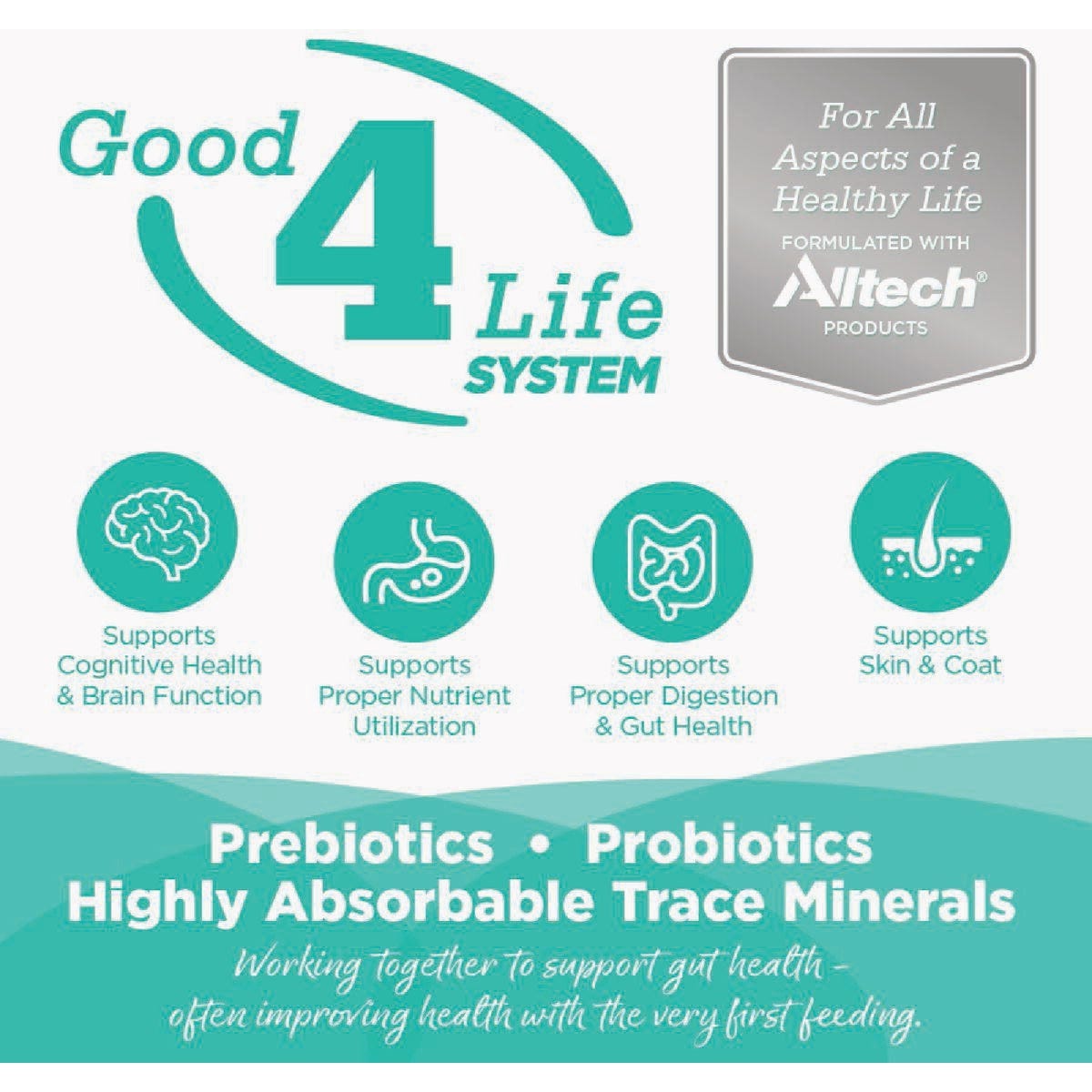 NutriSource 5.5 Oz. Country Select Recipe Grain Free Wet Cat Food - photo 3