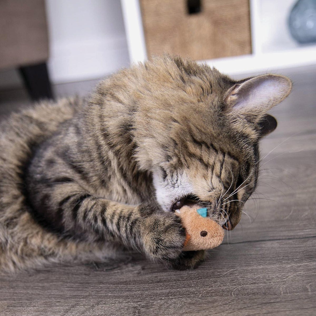 SmartyKat Chickadee Chirp Electronic Sound Catnip Cat Toy - photo 3 SmartyKat Chickadee Chirp Electronic Sound Catnip Cat Toy - photo 3
