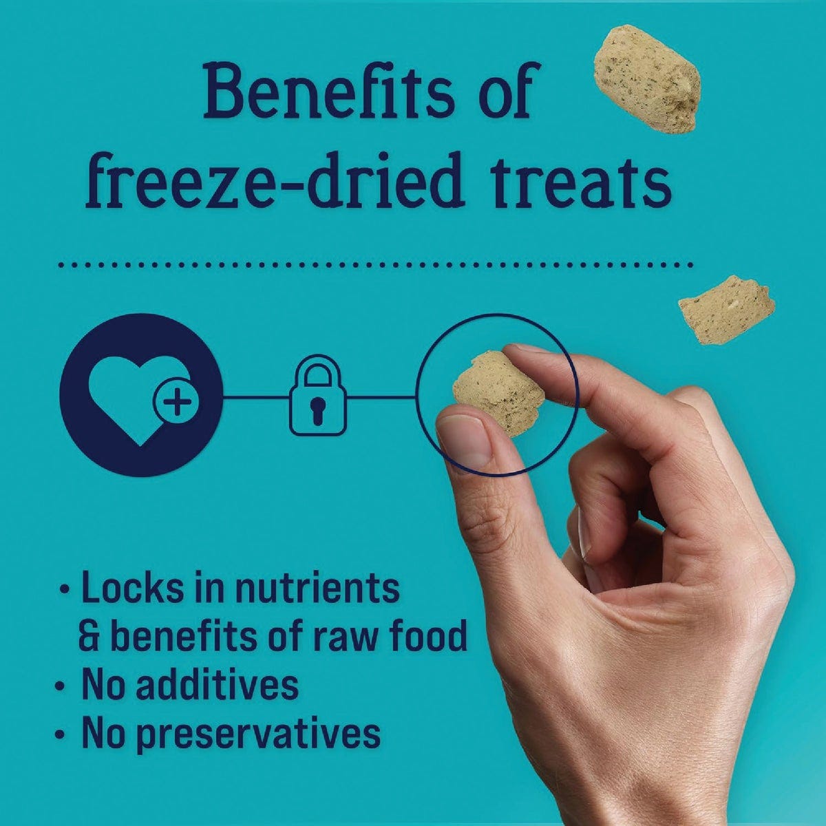 Stewart Healthy Gut 8 Oz. Chicken & Vegetable Freeze-Dried Dog Treats - photo 2
