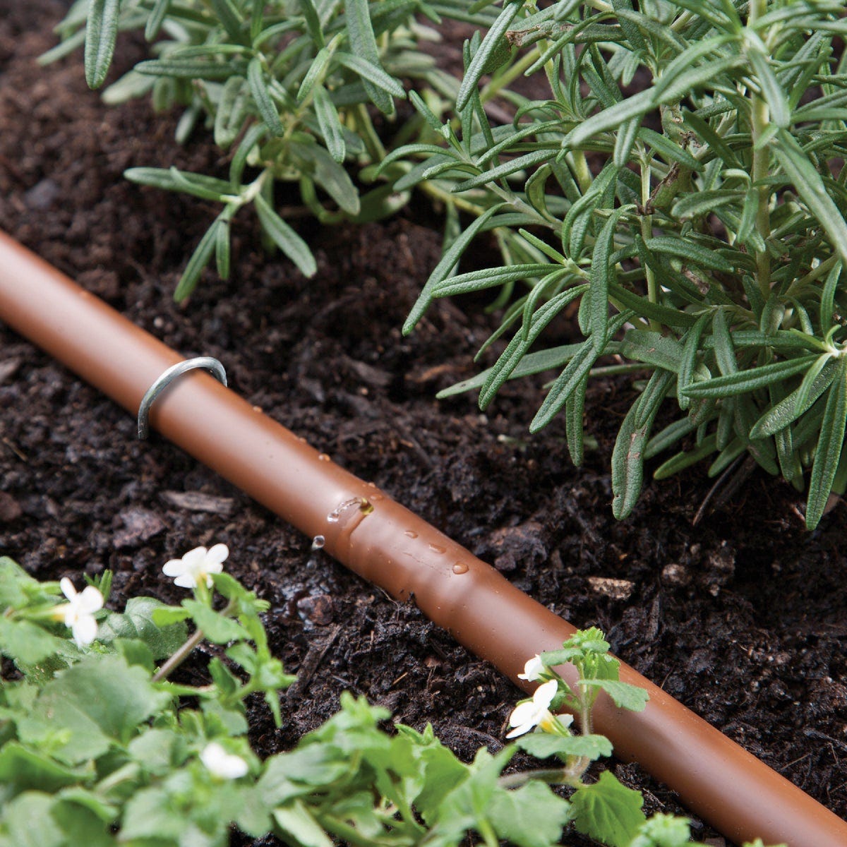 Raindrip Watering Kit for Vegetable Gardens - photo 3 Raindrip Watering Kit for Vegetable Gardens - photo 3