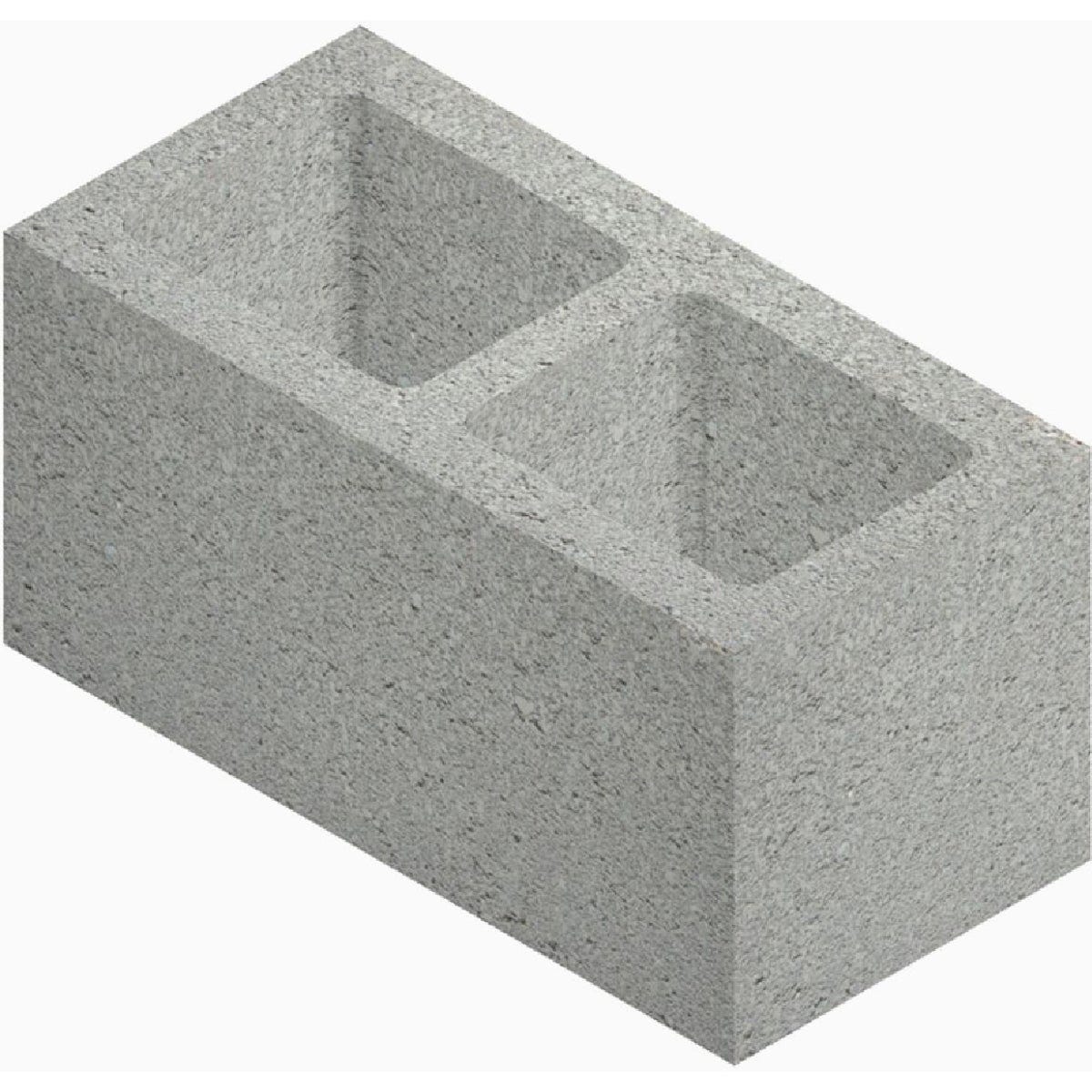 Sakrete 8 In. x 8 In. x 16 In. Standard Concrete Block