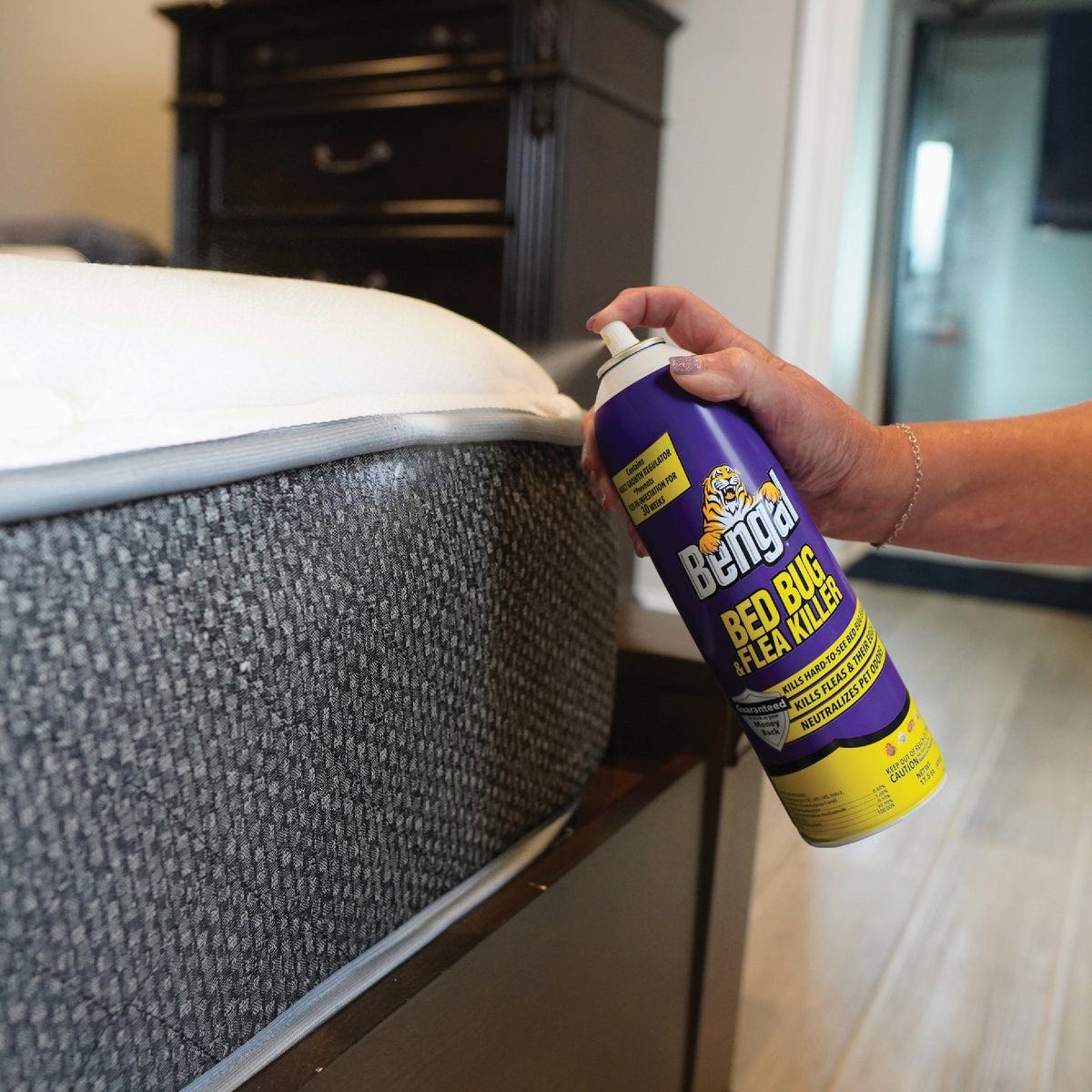 Bengal 17.5 Oz. Aerosol Spray Flea & Bedbug Killer - photo 5