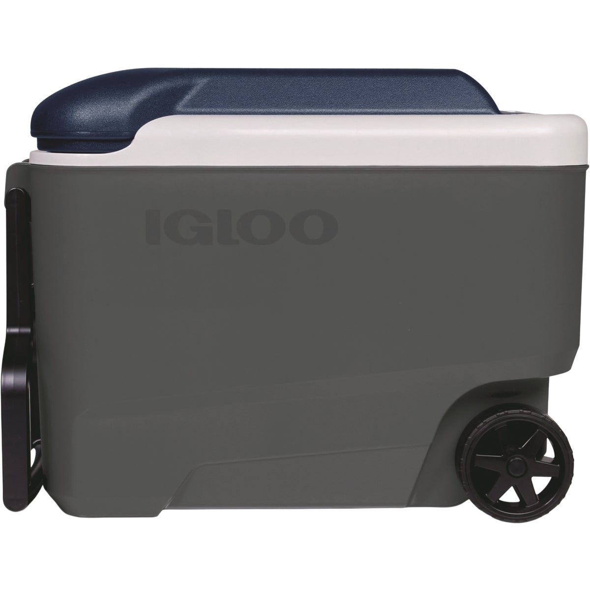 Igloo MaxCold 40 Qt. Roller Cooler, Ash Gray & Aegean Sea Igloo MaxCold 40 Qt. Roller Cooler, Ash Gray & Aegean Sea