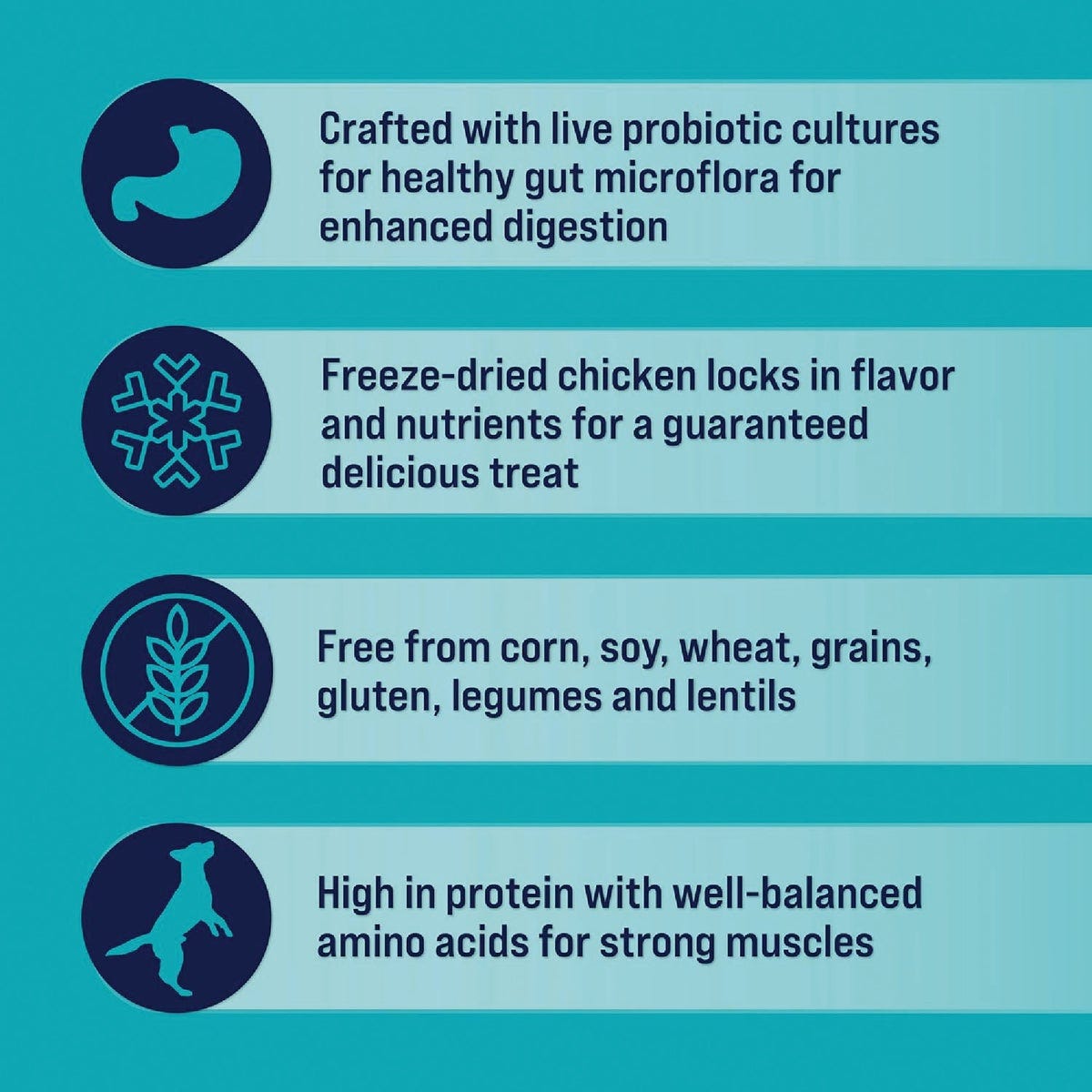 Stewart Healthy Gut 8 Oz. Chicken & Vegetable Freeze-Dried Dog Treats - photo 3