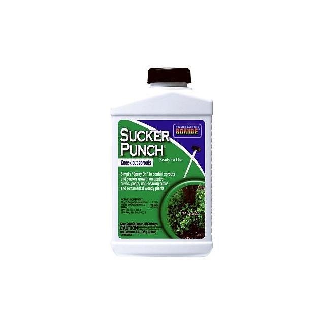 Bonide 8 Oz. Ready-to-Use Sucker Punch Bonide 8 Oz. Ready-to-Use Sucker Punch