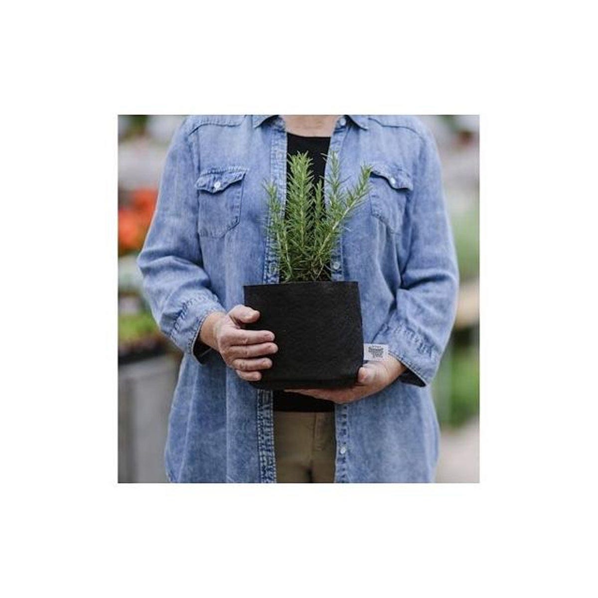 Smart Pot 2 Gal. Black Fabric Multi-Purpose Container Grower Planter - photo 2 Smart Pot 2 Gal. Black Fabric Multi-Purpose Container Grower Planter - photo 2