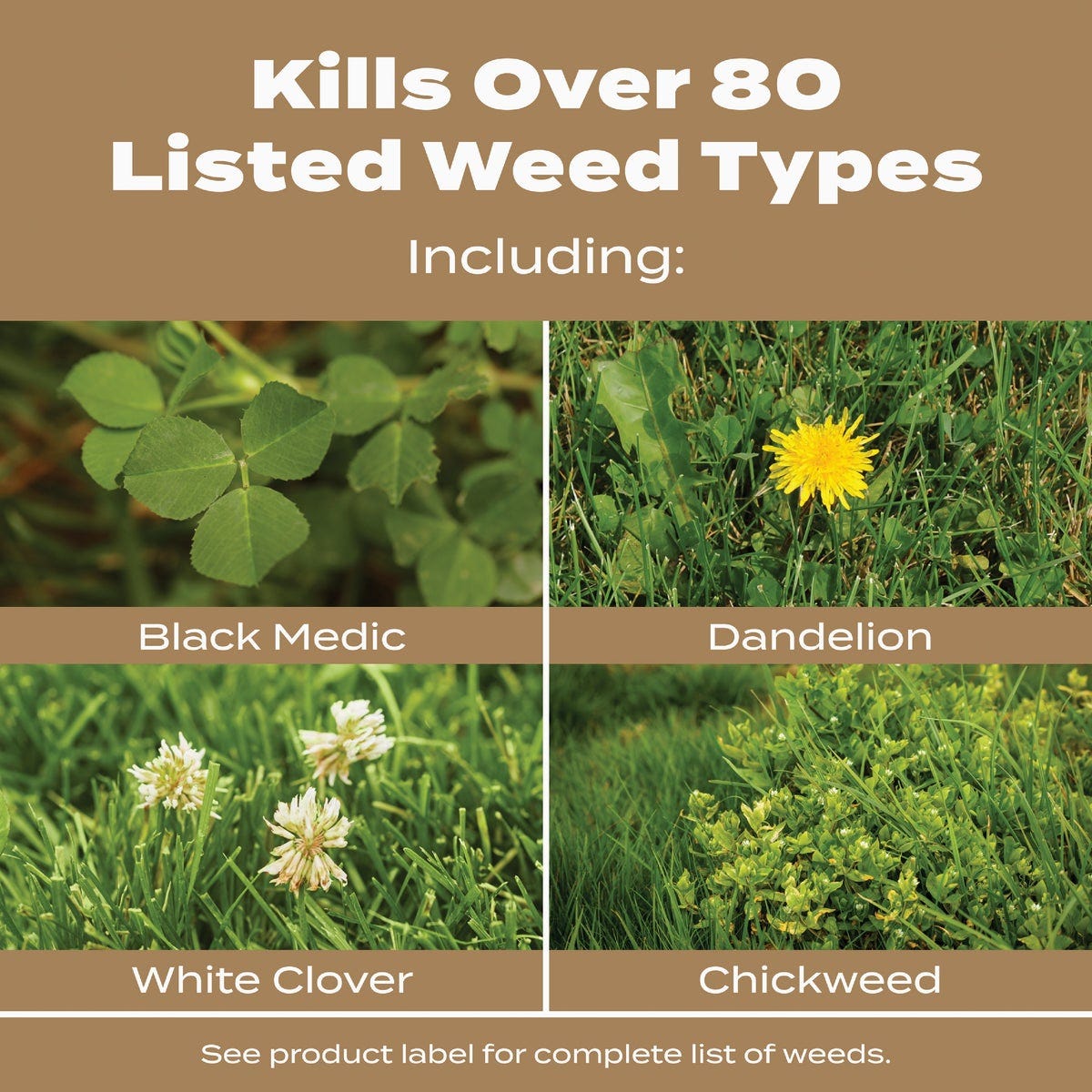Scotts Turf Builder 22.4 Lb. 8000 Sq. Ft. 29-0-10 Weed & Feed for Texas Lawns - photo 4