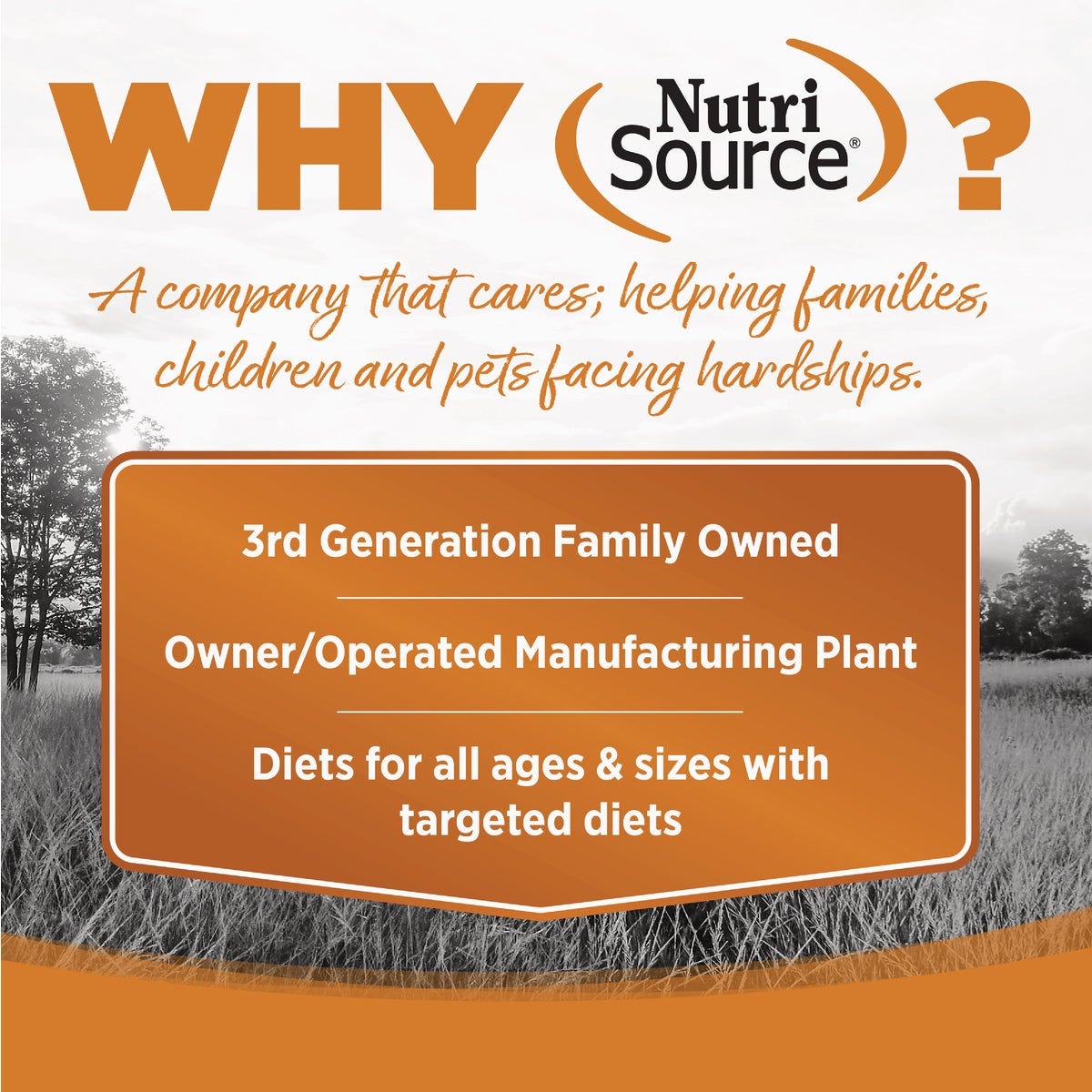 NutriSource 12.3 Oz. Lamb Recipe Grain Free Wet Dog Food - photo 5