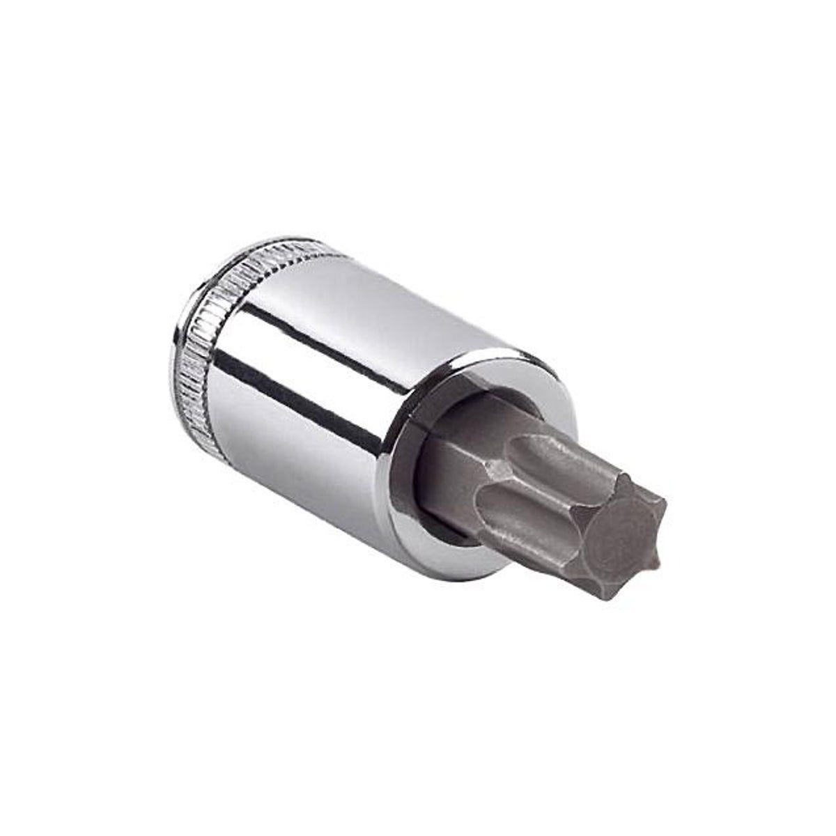 Master Mechanic 3/8 In. Drive T60 Torx Bit Socket