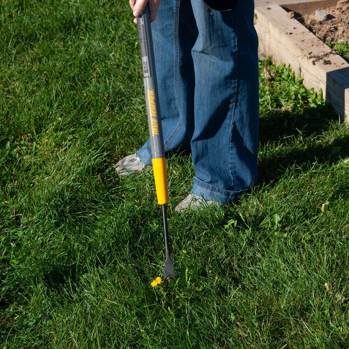 True Temper 36 In. Wood Handle Dandelion Weeder - photo 6 True Temper 36 In. Wood Handle Dandelion Weeder - photo 6