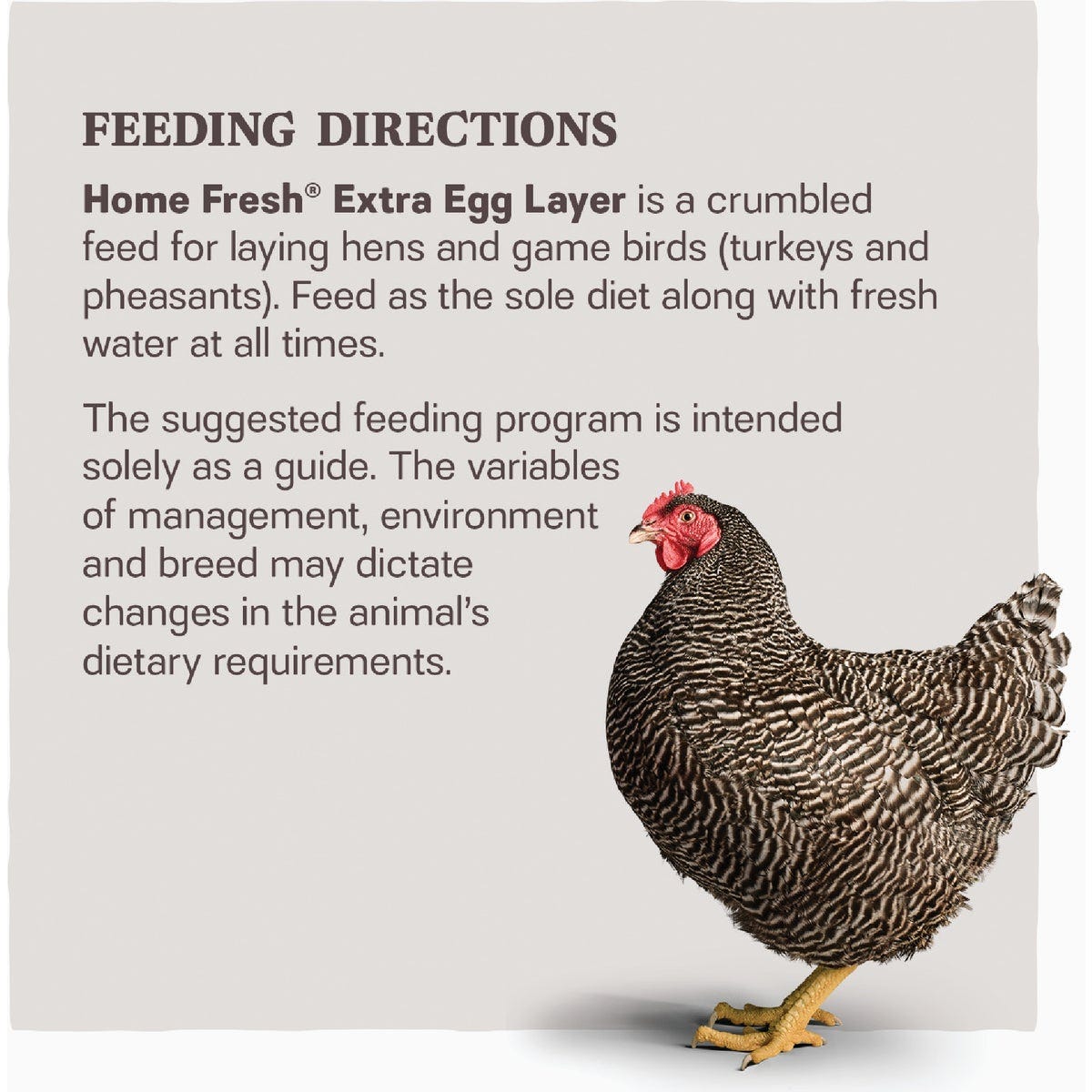 Kent Home Fresh Extra Egg Layer 50 Lb. Crumble Feed - photo 4 Kent Home Fresh Extra Egg Layer 50 Lb. Crumble Feed - photo 4