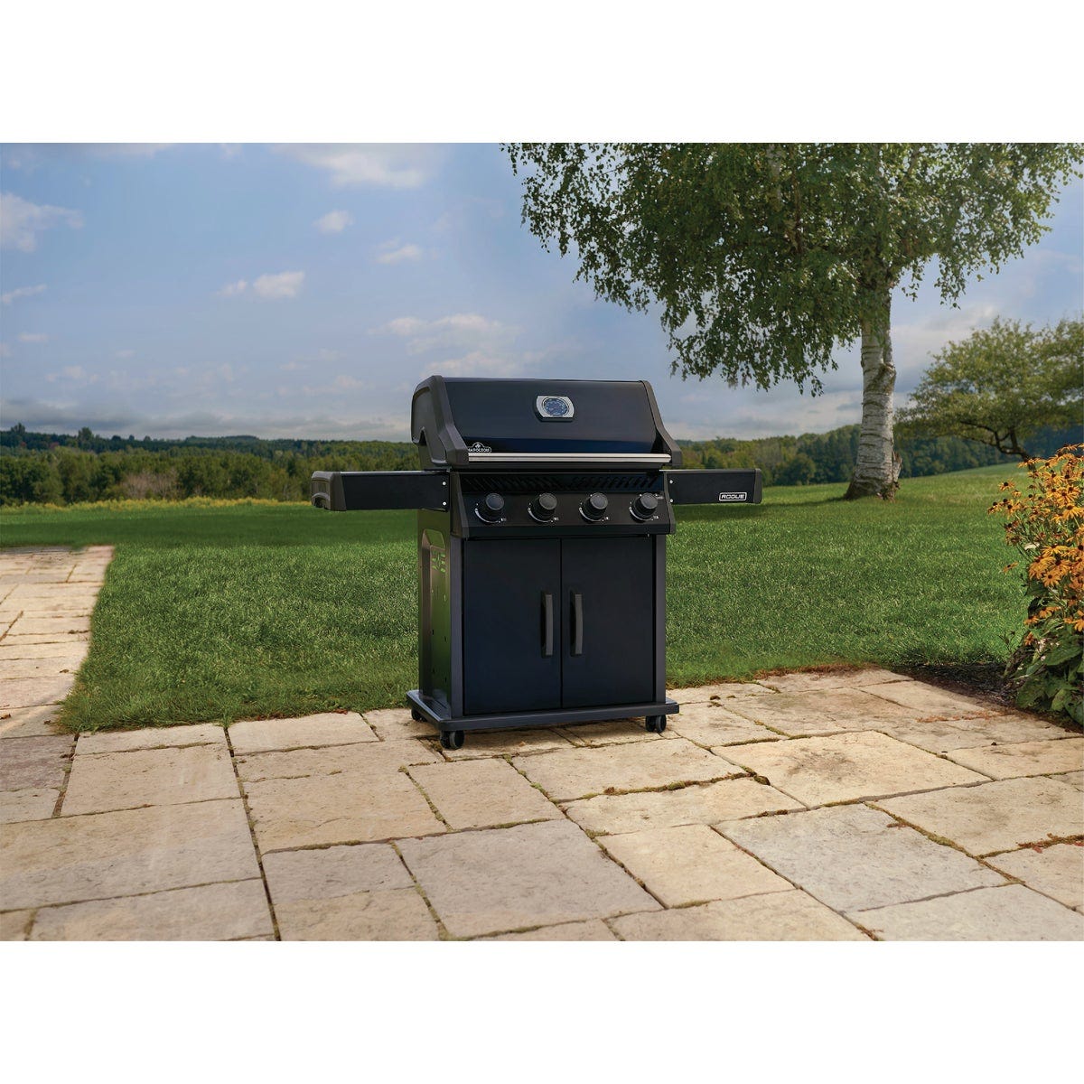 Napoleon Rogue 525 4-Burner Stainless Steel Grids LP Gas Grill, Black - photo 5 Napoleon Rogue 525 4-Burner Stainless Steel Grids LP Gas Grill, Black - photo 5