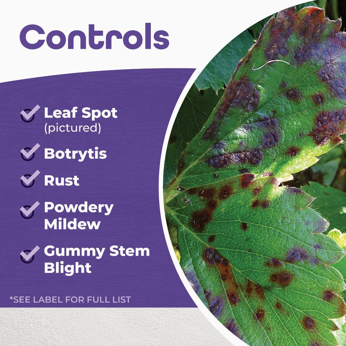 Bonide 32 Oz. Ready To Use Trigger Spray All Season Horticultural & Dormant Spray Oil - photo 5 Bonide 32 Oz. Ready To Use Trigger Spray All Season Horticultural & Dormant Spray Oil - photo 5