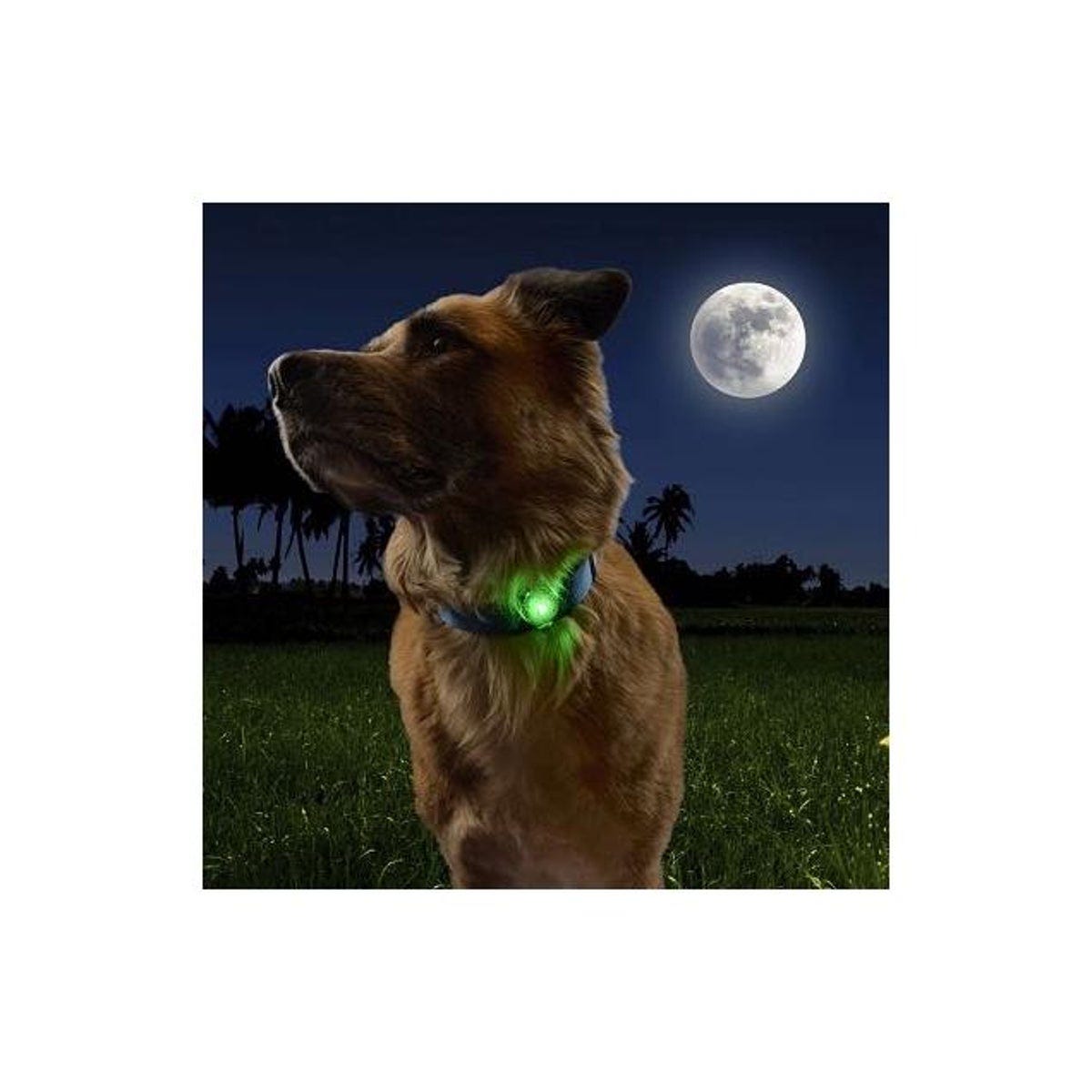 Nite Ize NiteDog Disc-O Tech Multi Color Rechargeable Pet Light - photo 4