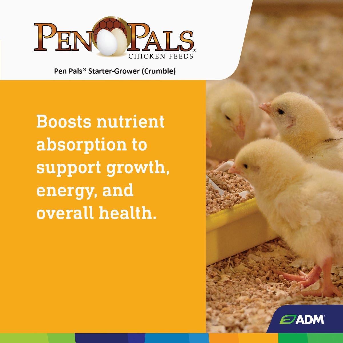 ADM Pen Pals 5 Lb. Chicken Starter/Grower Chicken Feed - photo 6