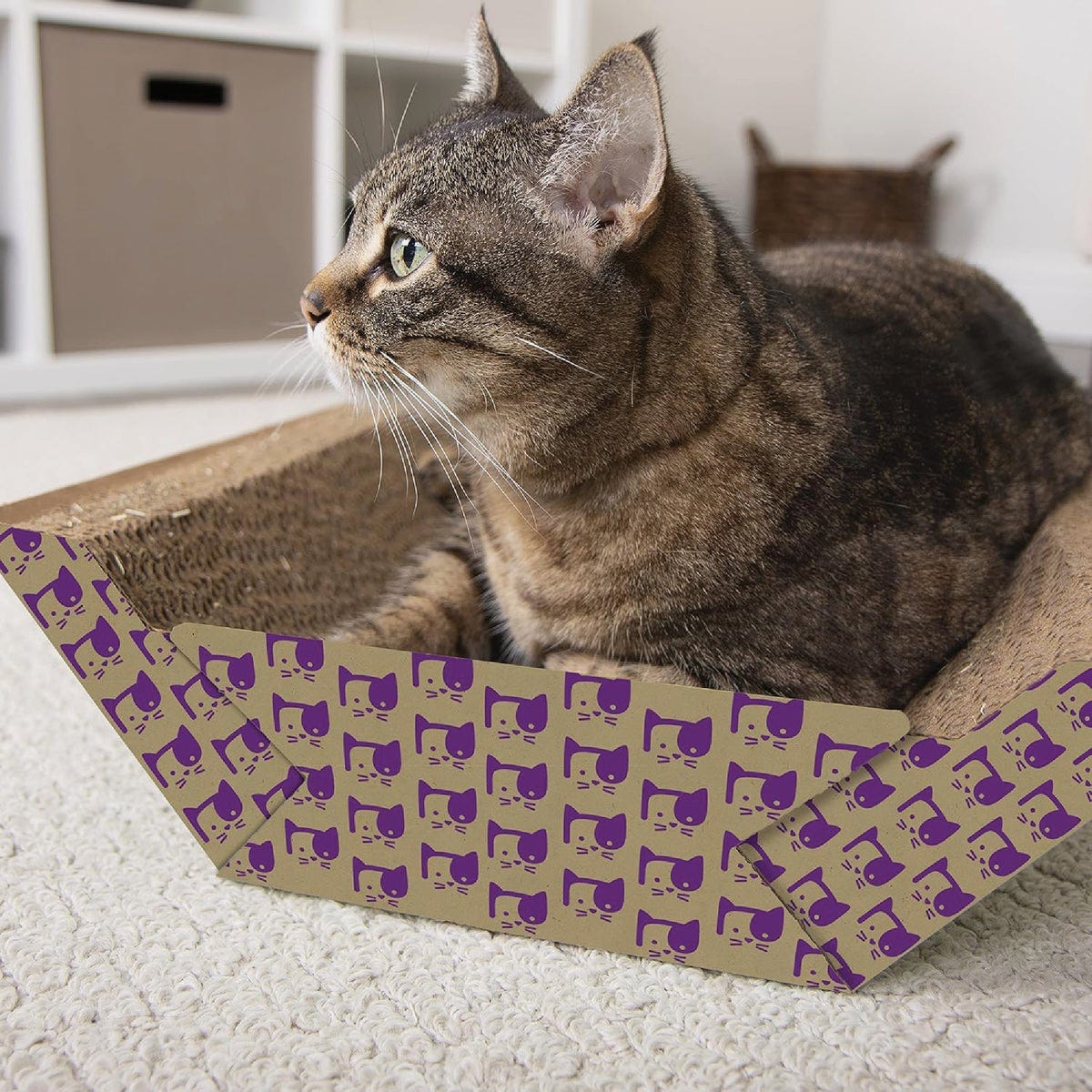 SmartyKat Super Scratcher Chaise with Catnip Infusion Technology - photo 4 SmartyKat Super Scratcher Chaise with Catnip Infusion Technology - photo 4