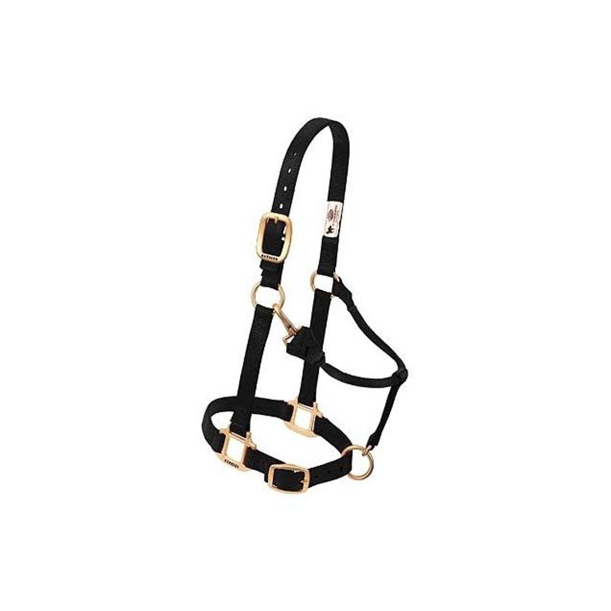 Weaver Leather 1 In. Black Nylon Snap Halter, Large Horse