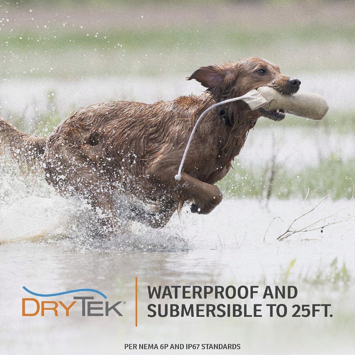 SportDOG Brand YardTrainer 100S - photo 4 SportDOG Brand YardTrainer 100S - photo 4