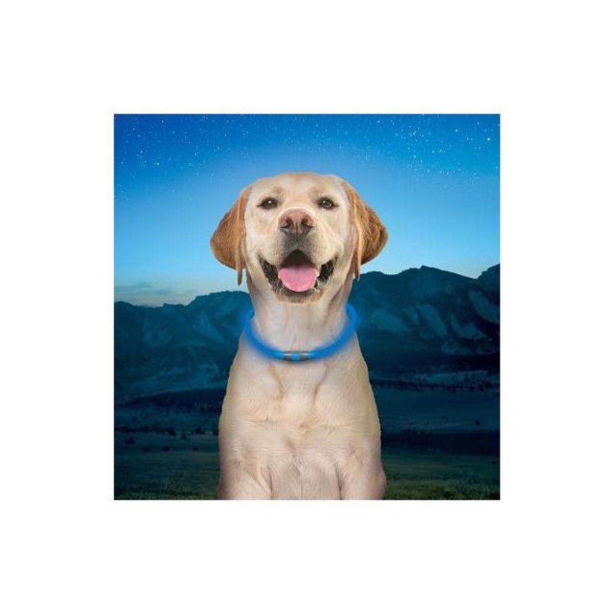 Nite Ize NiteHowl Blue Rechargeable LED Safety Dog Necklace - photo 3