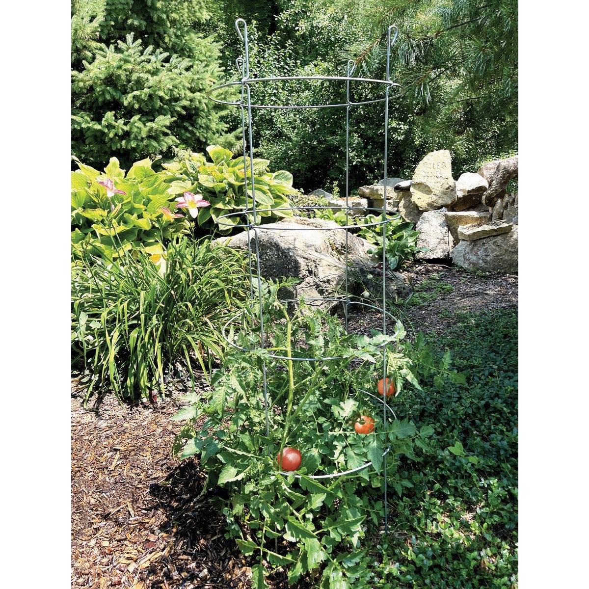 Glamos 54 In. Heavy Duty Collapsible Galvanized Tomato Cage - photo 4