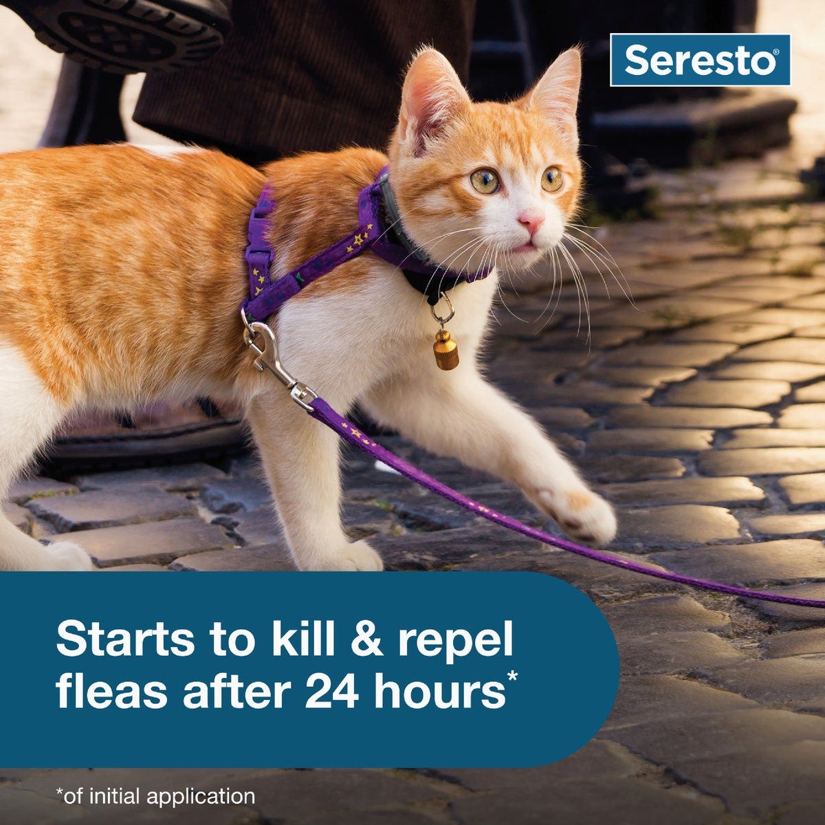 Seresto 8 Month Flea & Tick Collar for Cats - photo 5 Seresto 8 Month Flea & Tick Collar for Cats - photo 5