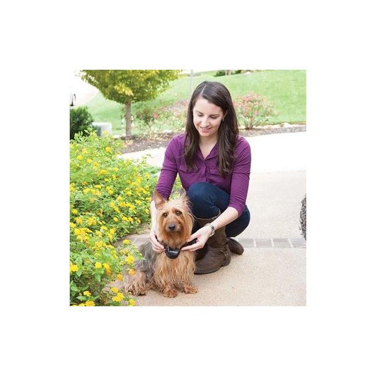 PetSafe Stay & Play Wireless Pet Fence Receiver Collar - photo 2