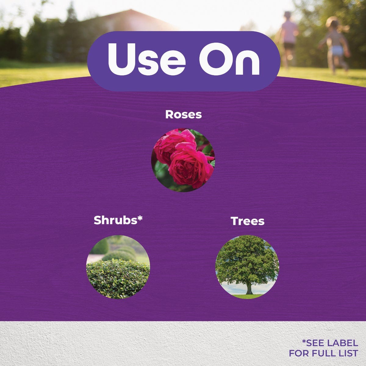Bonide 16 Oz. Garden Rich Pruning Sealer with Brush Top Applicator - photo 2