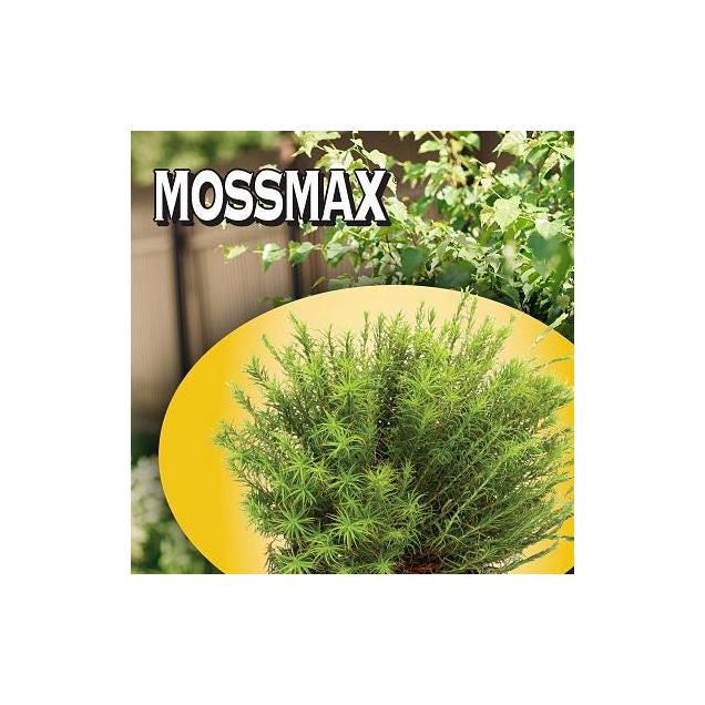 Bonide 6 Lb. Mossmax Granules - photo 3 Bonide 6 Lb. Mossmax Granules - photo 3