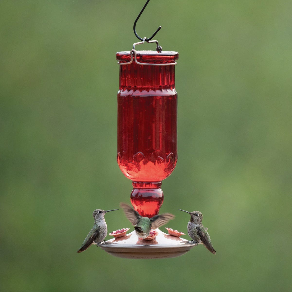 Perky-Pet 24 Oz. Red Antique Bottle Hummingbird Feeder - photo 3 Perky-Pet 24 Oz. Red Antique Bottle Hummingbird Feeder - photo 3