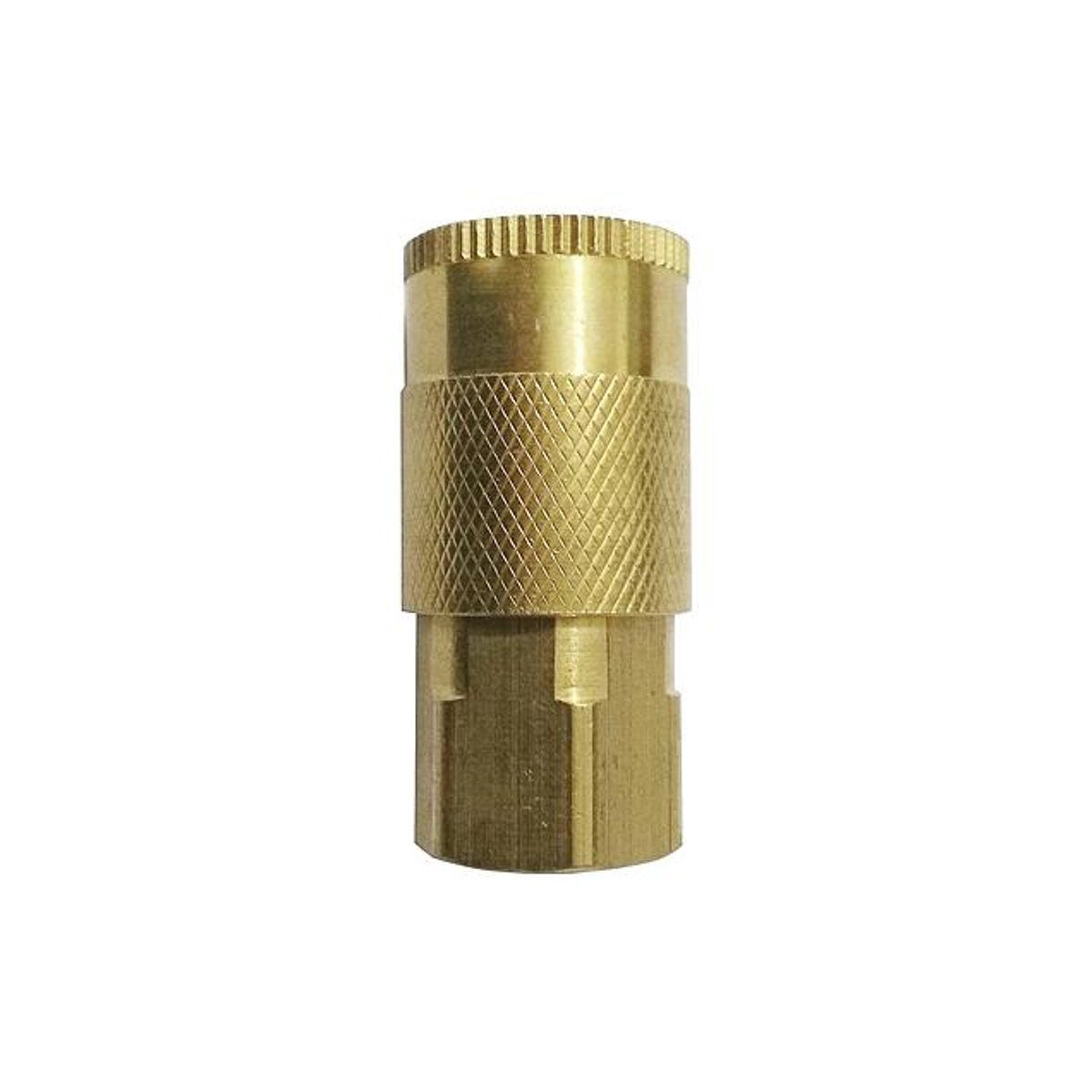 Master Mechanic 3/8 In. x 3/8 In. FNPT Industrial Coupler