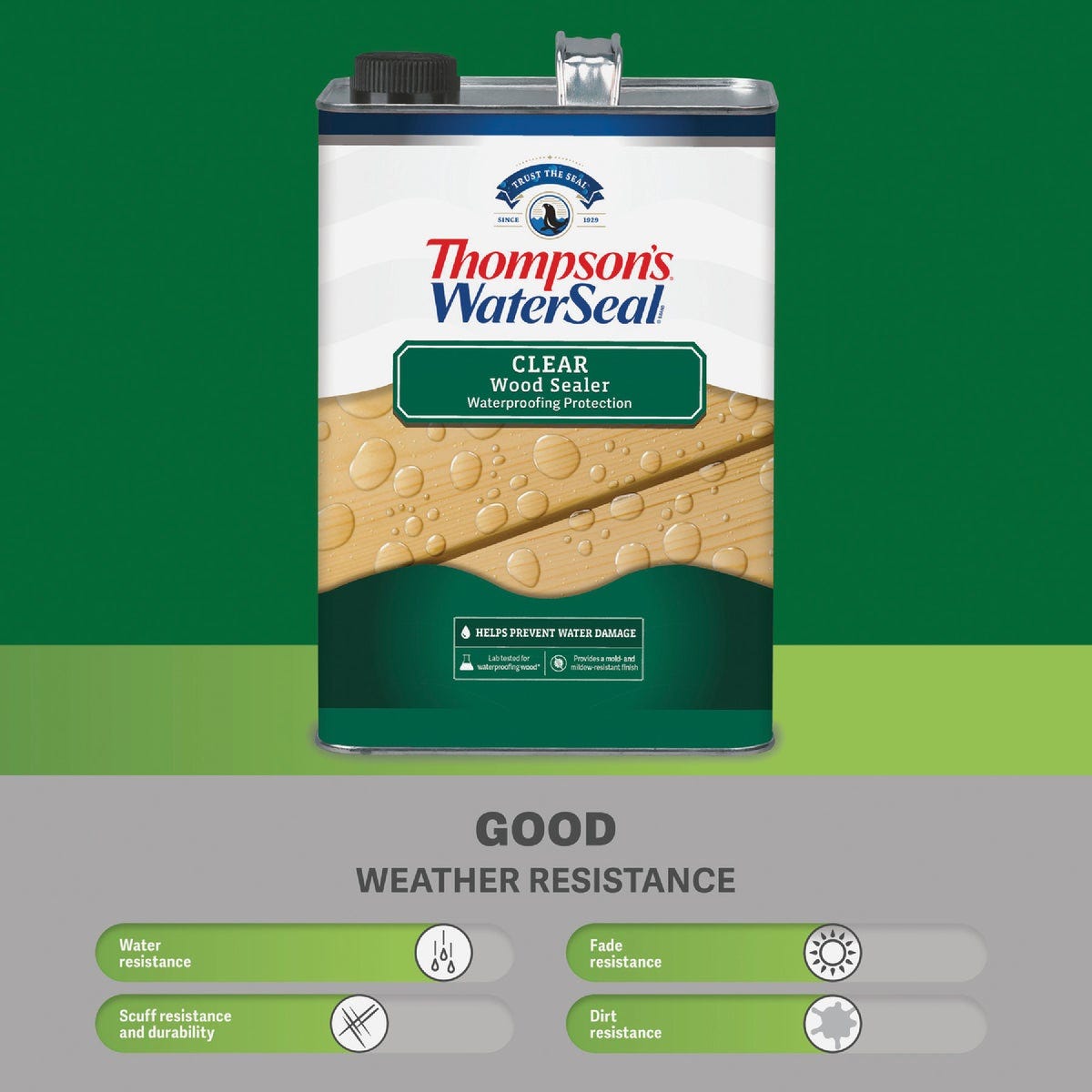 Thompsons WaterSeal Waterproofing VOC Compliant Wood Protector, Clear, 6 Gal. - photo 7