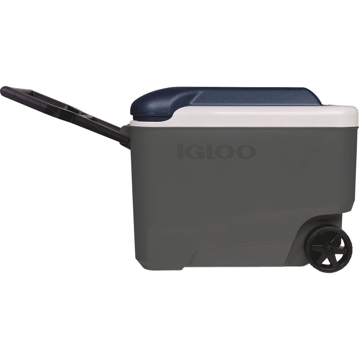 Igloo MaxCold 40 Qt. Roller Cooler, Ash Gray & Aegean Sea | Do it Best