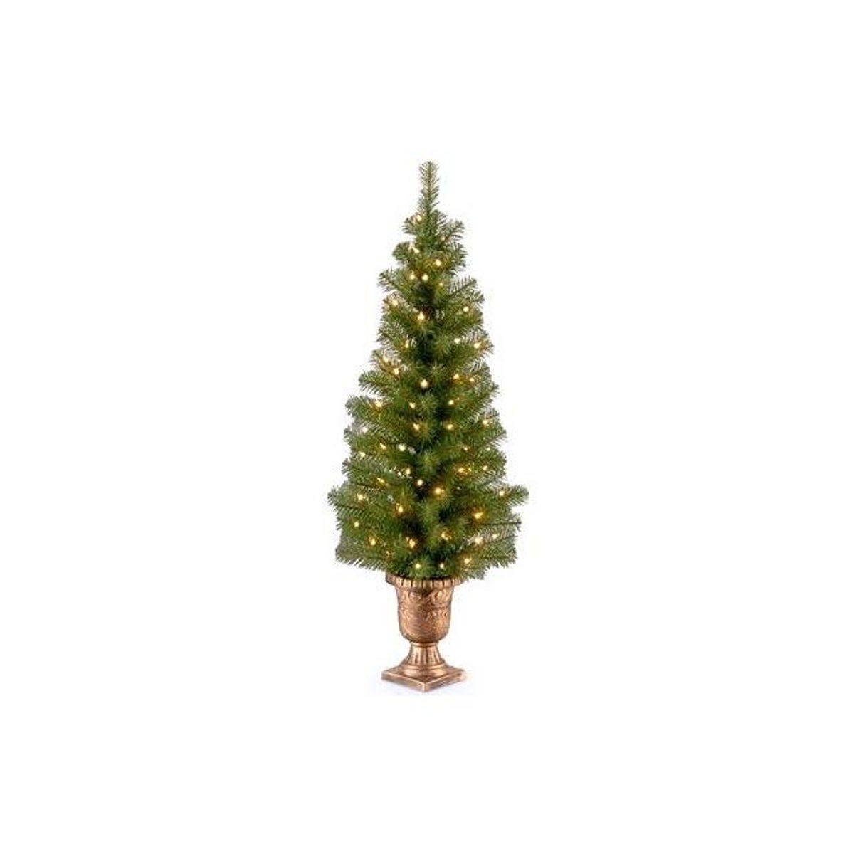 National Tree 4 Ft. 70-Bulb Clear Lights Montclair Spruce Pre-Lit Entrance Artificial Christmas Tree