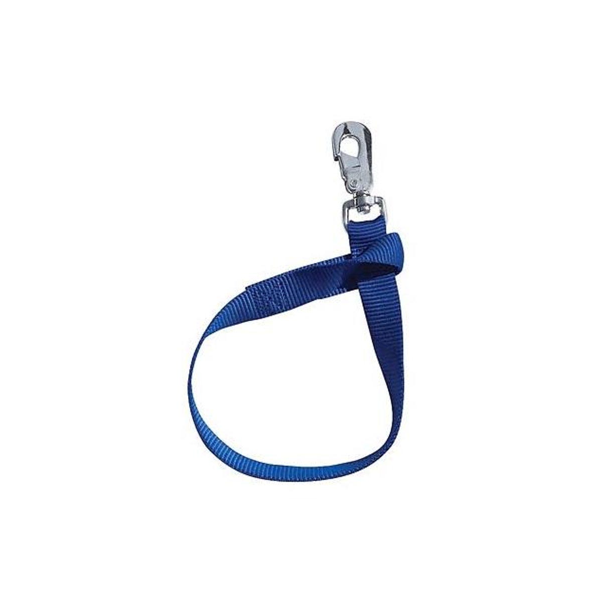 Weaver Leather 1 In. x 22 In. Blue Nylon Bucket Strap