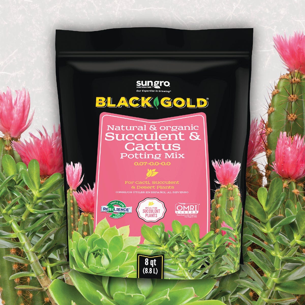 Black Gold 8 Qt. 8.3 Lb. Fast Draining Cactus Mix Potting Soil Mix - photo 4