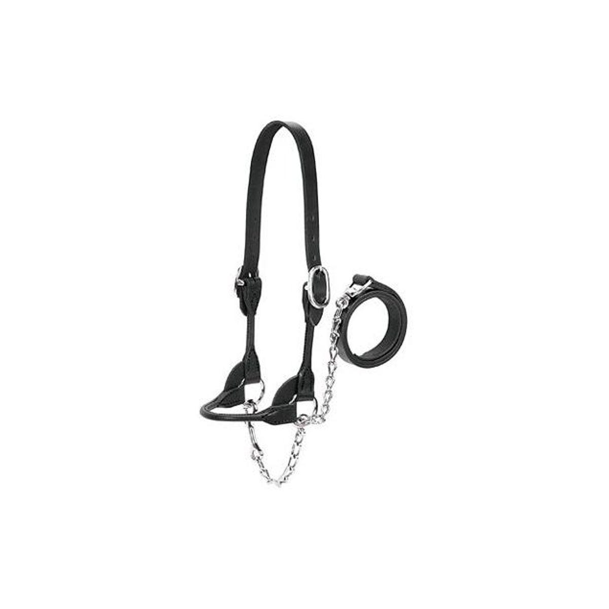 Weaver Leather Black Leather Livestock Show Halter, Small