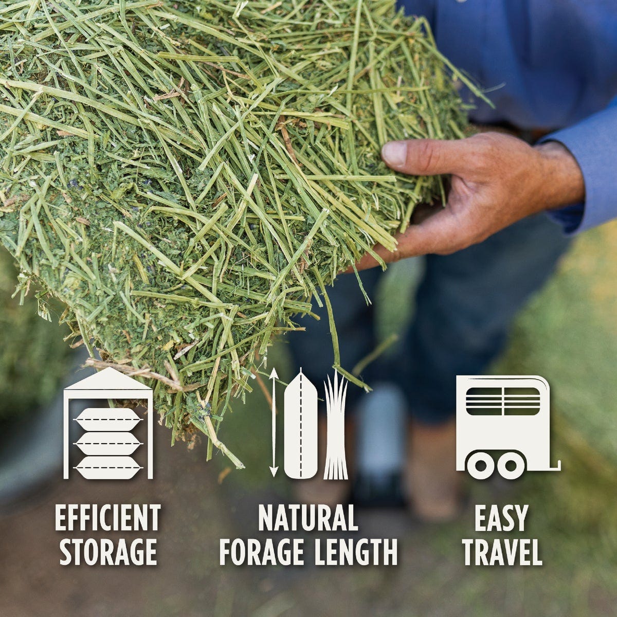 Standlee 50 Lb. Premium Alfalfa Compressed Bale - photo 2 Standlee 50 Lb. Premium Alfalfa Compressed Bale - photo 2