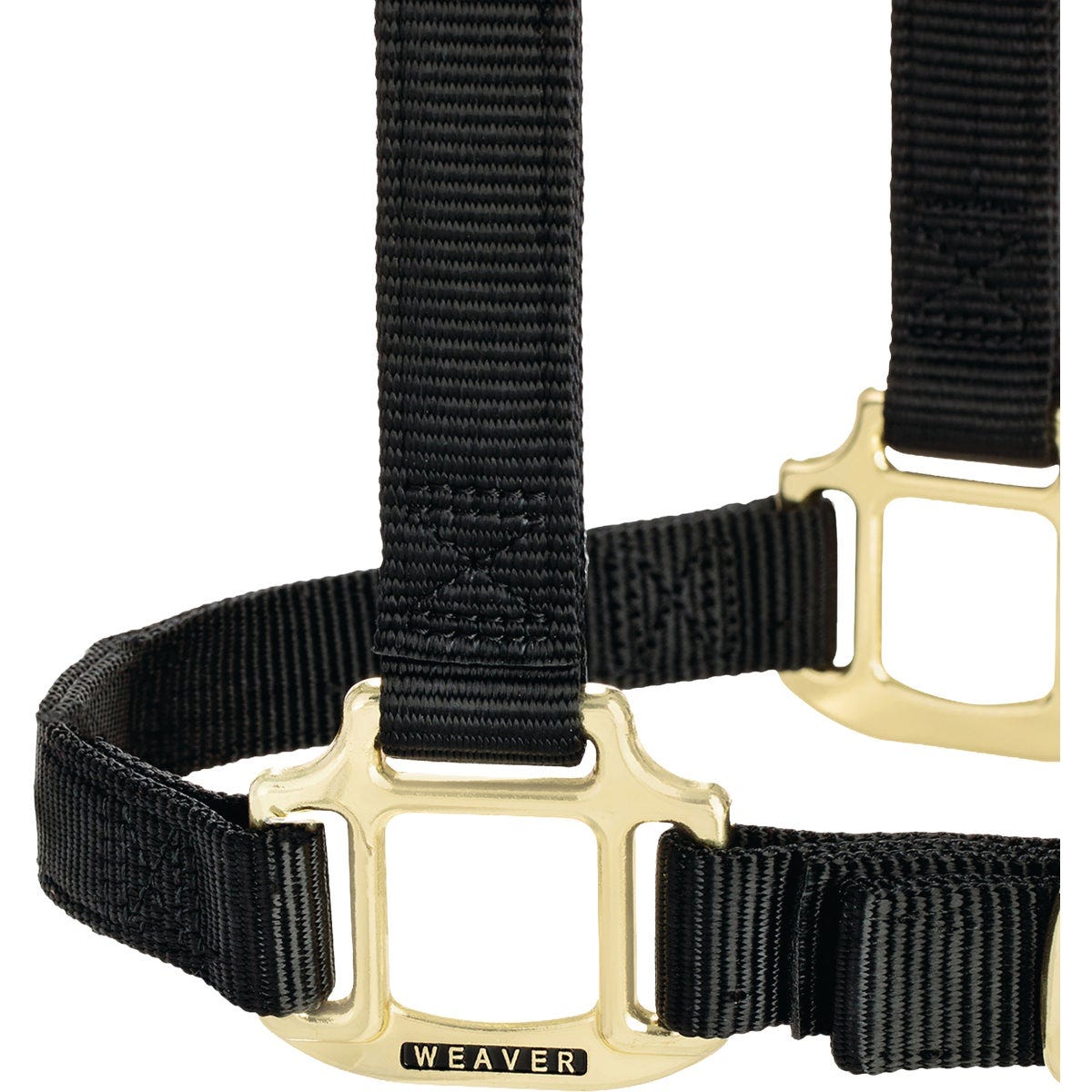 Weaver Equine 3/4 In. Small Black Adjustable Halter - photo 4 Weaver Equine 3/4 In. Small Black Adjustable Halter - photo 4