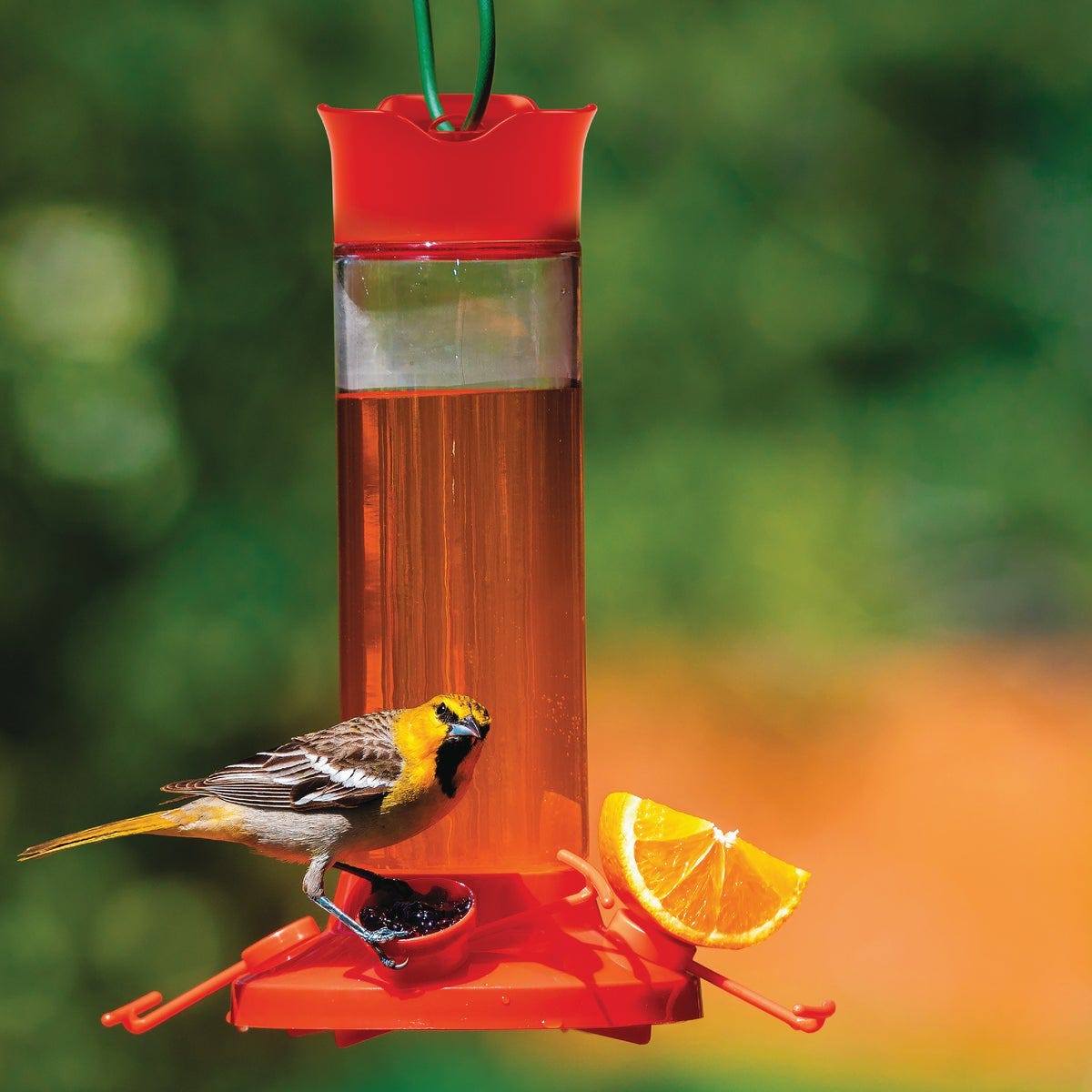 Perky-Pet 27 Oz. Plastic Vine Oriole Feeder - photo 8