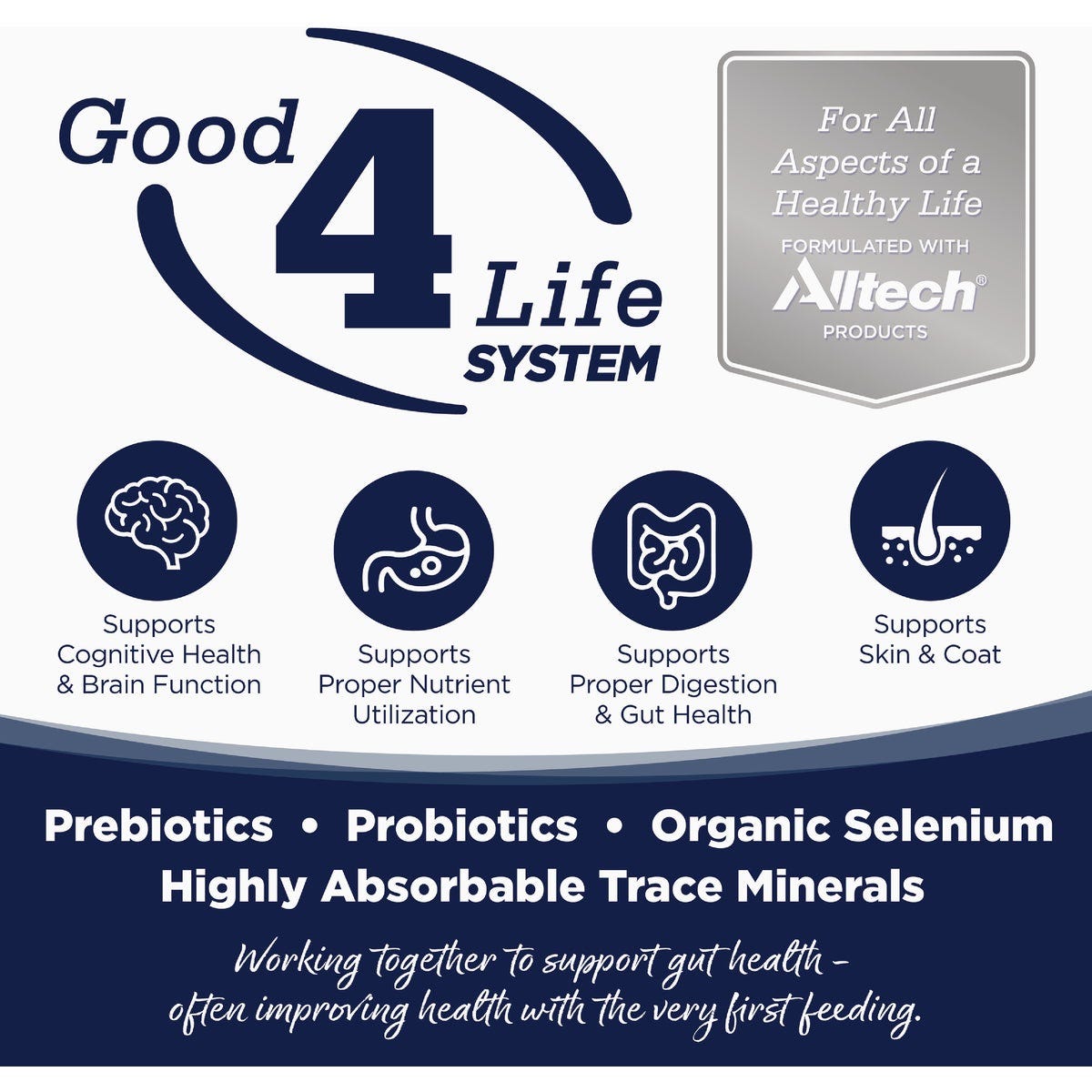 NutriSource 12.3 Oz. Woodlands Select Recipe Grain Free Wet Dog Food - photo 2