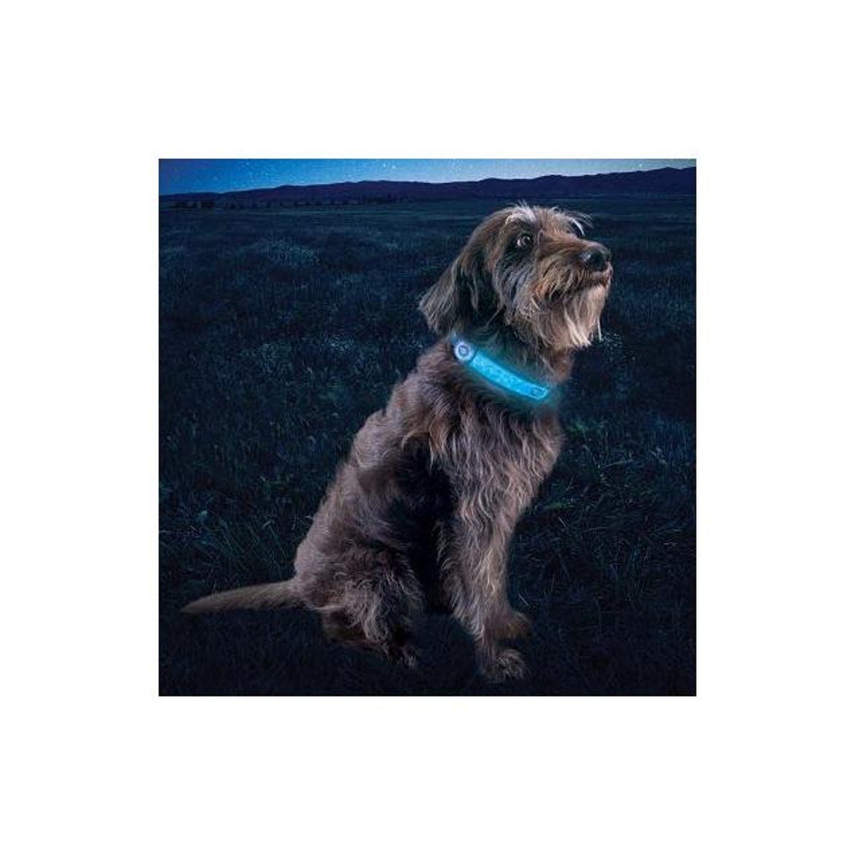 Nite Ize NiteDog 3 Color Option Rechargeable LED Collar Cover - photo 2 Nite Ize NiteDog 3 Color Option Rechargeable LED Collar Cover - photo 2