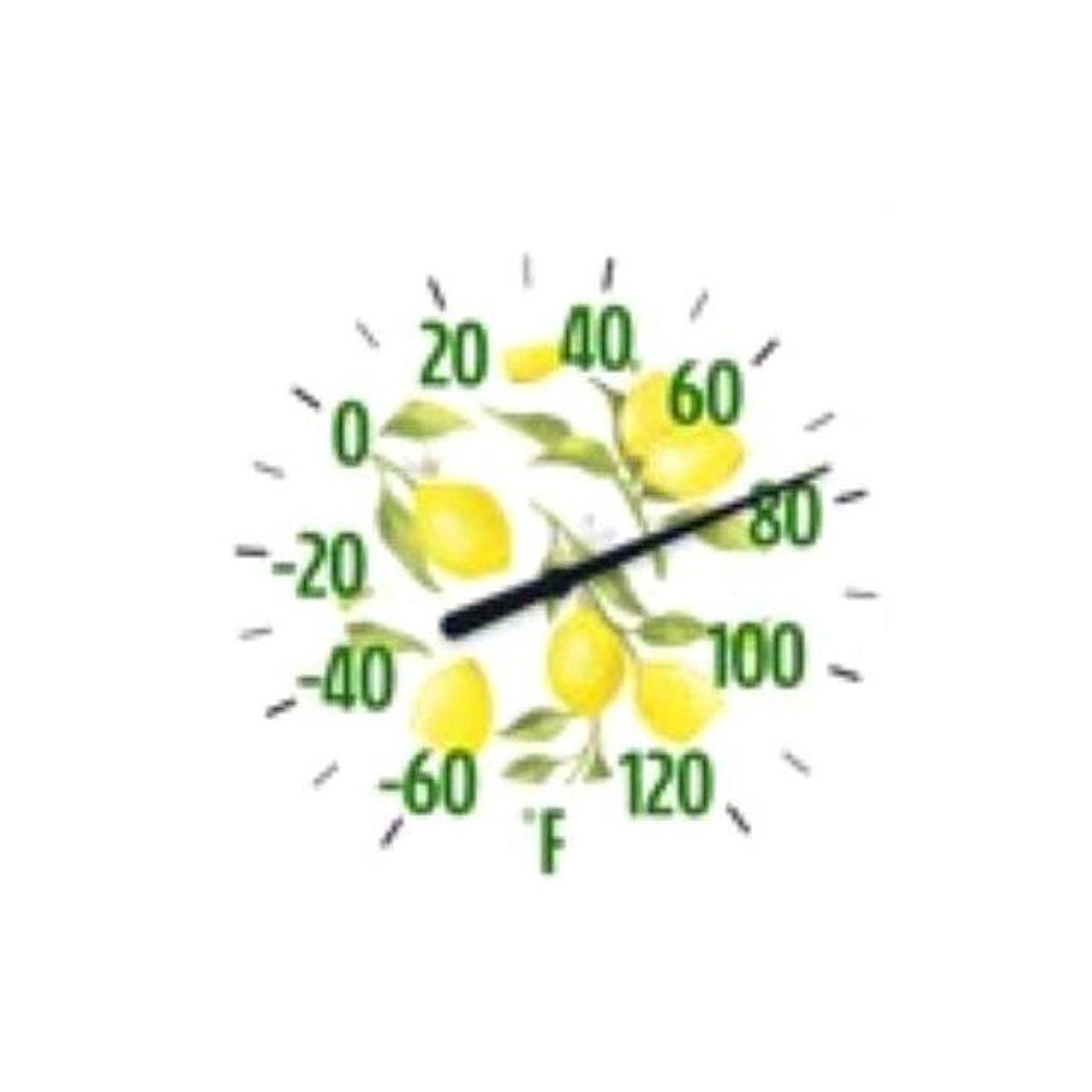 Taylor Lemon Round Thermometer Taylor Lemon Round Thermometer